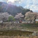 대산종합펫 | 갑천면 캠핑장 선택 기준 — 모두의 캠핑장 vs 주변 캠핑장 가성비 비교