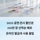 통합미술 다루기 | 2025 공연·전시 할인권 210만 장 선착순 배포 온라인 발급과 사용 꿀팁