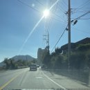 양산 노지 캠핑, 원동 자연휴양림(양산) - 후기