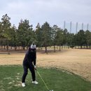 중문골프장CC | 제주 중문cc 라운드 후기 2026년 시즌 첫 라운딩