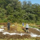 슬기네농장 이미지