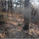 독정2리 이미지