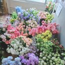 동탄꽃집 마음 둘 꽃 싱싱함이 남다른 꽃다발 후기🌸