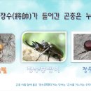 (주)키즈팡팡 이미지
