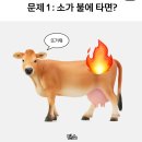 (주)영양숯불갈비 | 경주 현지인 맛집! '영양숯불갈비' 방문 후기