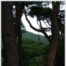 용추자연휴양림 이미지