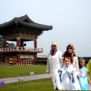 풀잎사랑 이미지