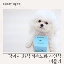 너즐리 이미지