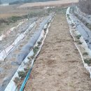 분천농장 이미지