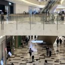 “옆집 <b>이사</b><b>오더</b>니 대박났어요”…이웃 낙수효과 엄청 나네