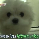 시월에농장 이미지