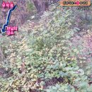 무악정 화장실 이미지