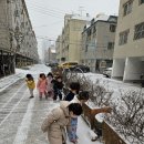 2월7일 하얀눈나라☃️⛄️❄️ 이미지