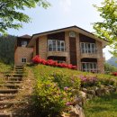 편백향기 이미지