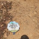 숙천초교 이미지