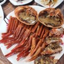 영덕물회 | 영덕 강구항 홍게게장정식 / 물회 후기 영덕강구항 대게맛집이오 하저점