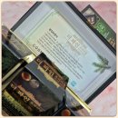 카오토쓰리부분정비 | 공복혈당110 생활 루틴과 더파인프리미엄을 통한 케어후기