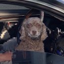 전주가축약품 이미지