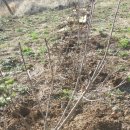 재한농장 이미지