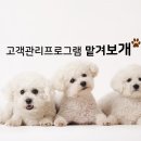 맡겨보개 이미지