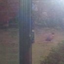 산골이야기 이미지