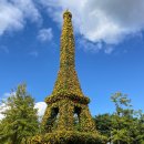 유림-16 | 대전 가볼만한 곳 유림공원 주차 정보 유성국화축제 2025 방문 후기