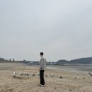 영흥면 면사무소 | 영흥도 여행 (1)