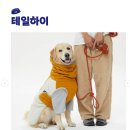 (주)베테랑이벤트 이미지