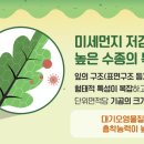 미세잎 이미지