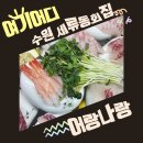 수원회집 어랑나랑 횟집 마케팅 후기 블로그 릴스 샤오홍슈