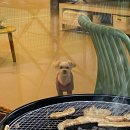 GS25 인천사랑점 이미지