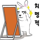 에뿌제미용실 이미지