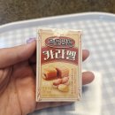 동해다이소 동해효가점 여름 신상부터 영업시간 동해페이 10% 할인 꿀팁까지 내돈내산 득템 후기
