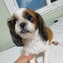 현신3길 이미지