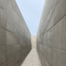 카페보리 이미지