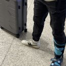 휠체어 타는 사람들 | 인천공항 제주항공 휠체어 대여 서비스 신청 방법 및 이용 후기(ft.교통 약자 우대 출구)