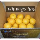 패밀리농장 Daum카페