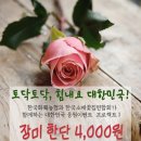 수요일꽃집