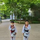 드림코리아 태권도 이미지