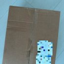 디데이 호텔 | [본식스냅] 레코드디데이-본식후기