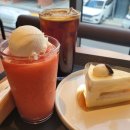파스쿠찌판교대장점 | 판교 대장동 카페 파스쿠찌 판교대장점 아메리카노, 수박 그라니따, 망고빙수, 케이크 후기