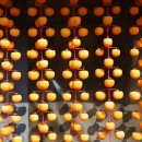 박학봉농장 이미지