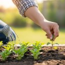 박동농장 | 혈압 루틴 총 정리 아침 vs 저녁, 무엇이 더 강력할까?