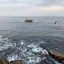 후포식당 이미지