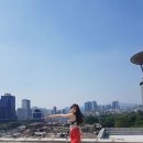 빙고월드(bingo world) 스포츠서울