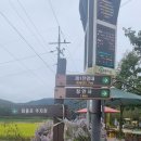 비룡산(247.5m) &amp; 회룡포 / 경북 예천 이미지