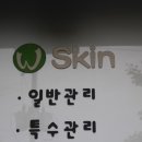 진스킨바디