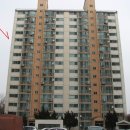 여주-1101 이미지