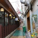 오동동170 이미지