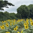 오케이씨농장 이미지